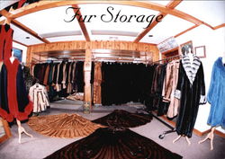Castor Furs, LLC Postcard
