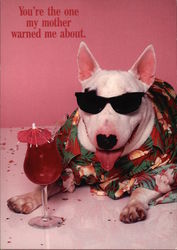 "You're the one my mother warned me about." - Dog in Beach Attire Postcard