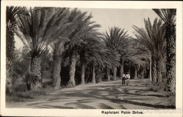 Kapiolani Palm Drive Honolulu Hawaii