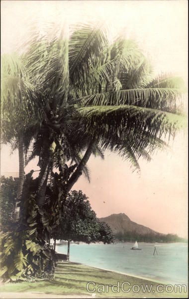 Palms Over Ocean, Tinted Hawaii
