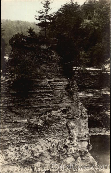 Rear View of Sugar Loaf Rock - Letchworth Park Castile New York