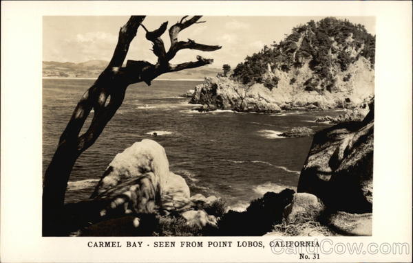 Carmel Bay from Point Lobos California