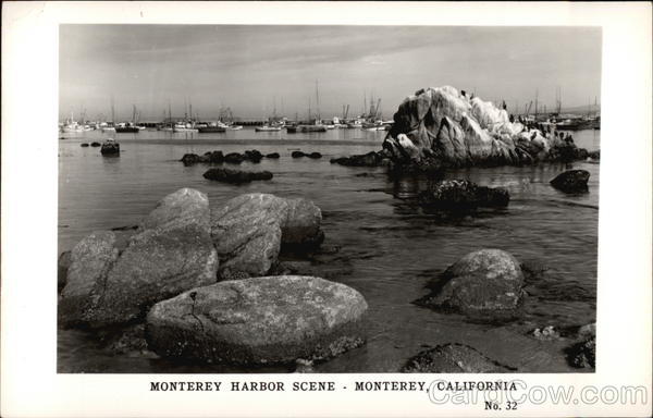 Monterey Harbor Scene California