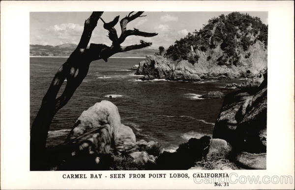 View of Carmel Bay, Point Lobos California
