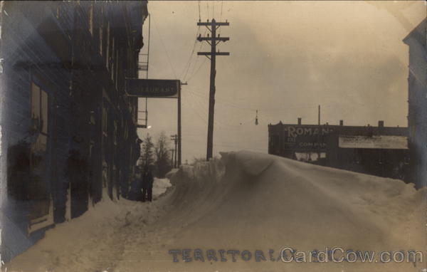 Territorial Street January 3, 1909 Snow Storm Illinois