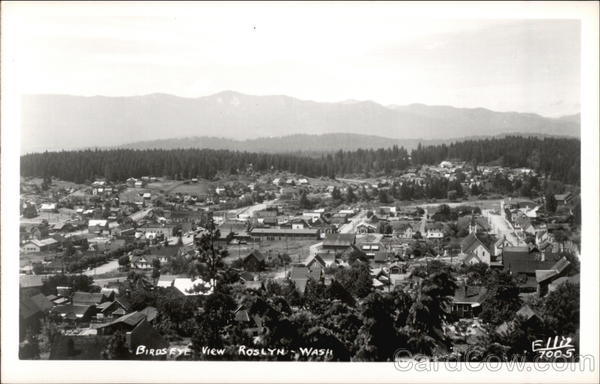 Bird's Eye View Roslyn Washington