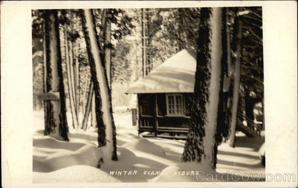 Winter Scene, Jan's Ice House Kyburz California