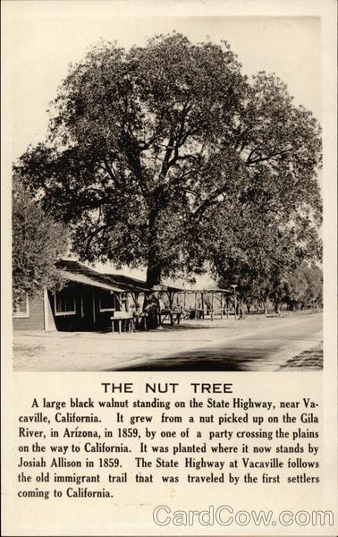 The Nut Tree Vacaville California
