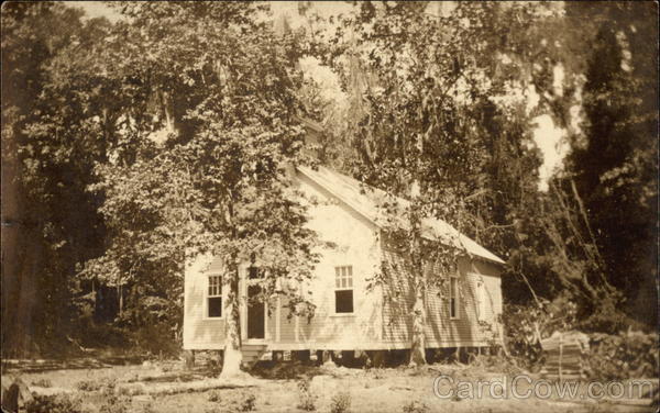 School House in the Woods Buildings