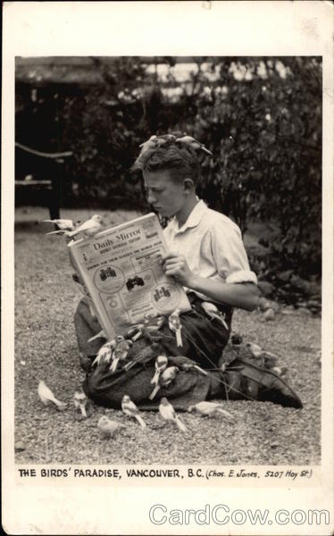 The Birds' Paardise Vancouver BC Canada British Columbia