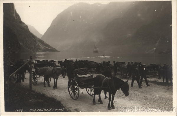 Fjord and Horse-Drawn Carts Gudvangen Norway