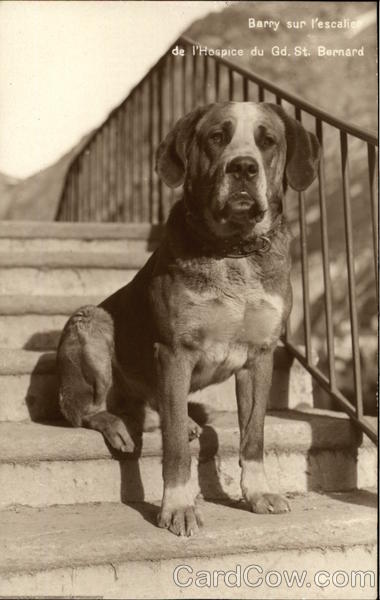 Barry on the Steps of The Great St Bernard Hospice