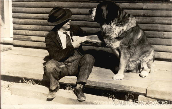 O'connell Lodge Lac Des Loups PQ Canada Saint Bernards