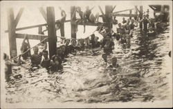 Swimmers Under the Dock Postcard