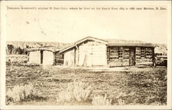 Theodore Roosevelt's original N. Dak. Cabin Postcard