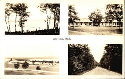 Views of Grayling Postcard