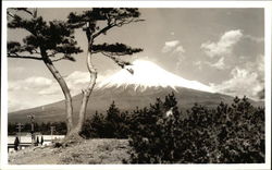 Mount Fuji Postcard