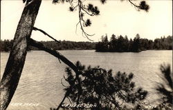 Lake Scene Postcard