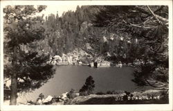 View of Big Bear Lake Postcard