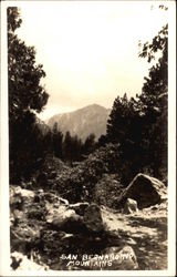 San Bernardino Mountains California Postcard Postcard