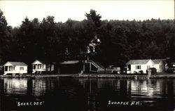 Shore View Sunapee, NH Postcard Postcard