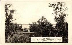 The Pines, Lake Noquebay Middle Inlet, WI Postcard Postcard