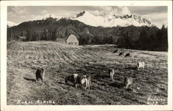 Rural Alaska Scenic, AK Postcard Postcard