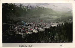 Aerial View of Town Postcard