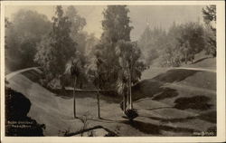 Busch Gardens Postcard