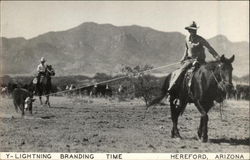 Y-Lightning Branding Time Hereford, AZ Postcard Postcard