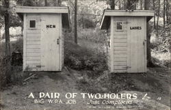 A Pair of Two-Holers! Postcard