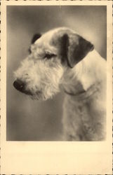 Stock #317640 Thumbnail