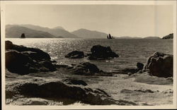 Stock #317688 Thumbnail