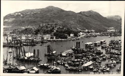 Stock #317690 Thumbnail