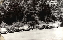 Entrance to "Mystery Spot" Postcard