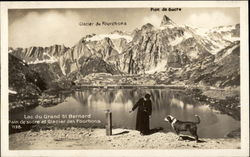Lac du Grand St. Bernard Saint Bernards