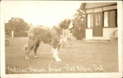 Holiday House  Port Elgin, ON Canada Saint Bernards Postcard Postcard