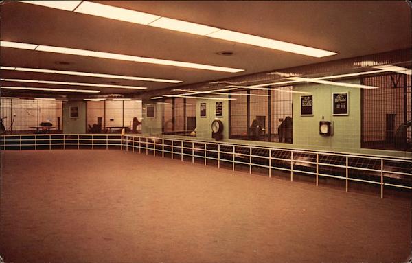 Holden Great Ape Exhibit - Detroit Zoological Park Royal Oak Michigan