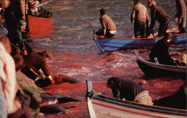 Bloodbath Social History