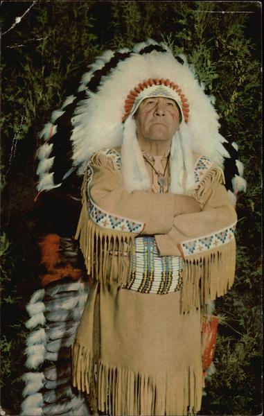 Chief Brown Eagle of the Chippewa Indian Tribe Native Americana