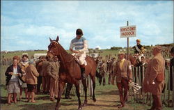 Point-to-Point Racing - Leaving the Paddock Point-to-Point Racing - Leaving the Paddock