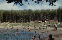 View of the Bathing Beach, Ricketts Glen State Park Postcard