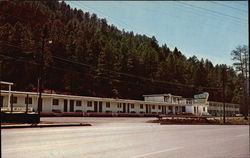 Park Motel Postcard
