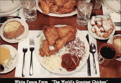White Fence Farm Postcard