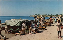 Stock #318572 Thumbnail