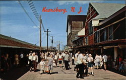 View of the Midway Postcard