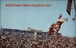 Diving Horse at Steel Pier Postcard