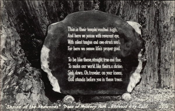 Shrine of the Redwoods Trees of Mystery Park Redwood Highway California