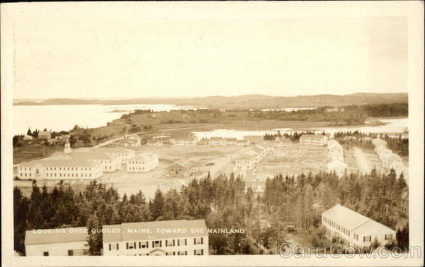 Looking Over Quoddy Toward the Mainland Maine