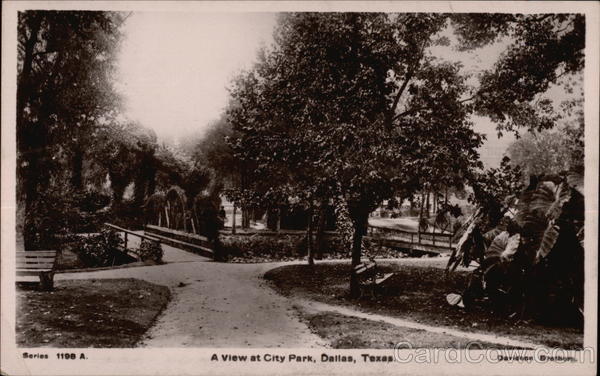 A View at City Park Dallas Texas